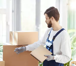 Professional-chicago-moving-guide-services